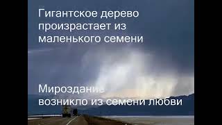 "Таинство вечной Любви". Шри Сатья Саи Баба 🥰🌹❤🙏