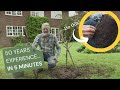 How to plant a tree 5 steps from the uks top tree growing expert