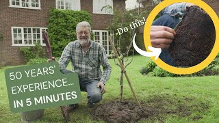 How to Plant a Tree: 5 steps from the UK