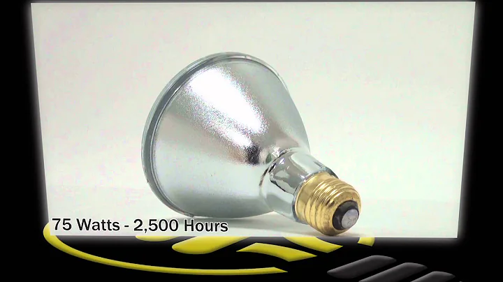 Plusrite Halogen Long Neck PAR30 Flood