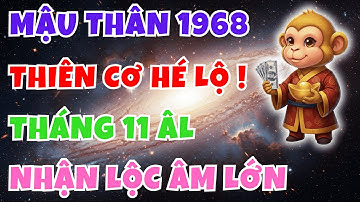 Thiên Cơ Hé Lộ! Mậu Thân 1968: Nhận Được Lộc Âm Lớn tháng 11 âm 2025
