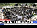 They Mocked This Florida Bog Until 160+ Human Skeletons 7000 Years Old Were Discovered