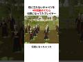 キャベツを4年間集め続けたら伝説になってたプレイヤー