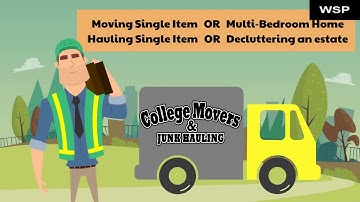 Sample Animated Explainer Video 3 - Web Services Pro