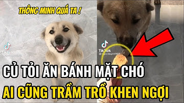 Củ tỏi ăn bánh" Mặt Chó" khiến ai xem cũng trầm trồ"Khen Ngợi"