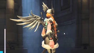Overwatch Beta Bug Compilation: Broken Animations