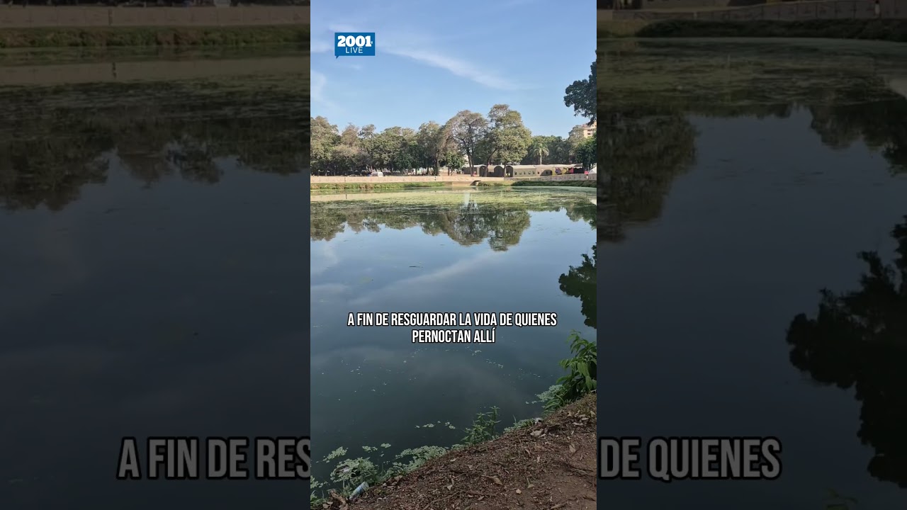Inician labores de extracción de caimanes ubicados en los campos de golf en Tanaguarena