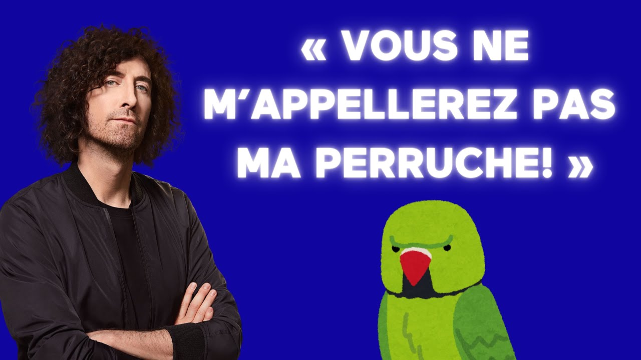 [ÉNERGIE] 🚨 « Non désolé, appelez-moi pas ma Perruche! » 🚨 – Coup de 16h20