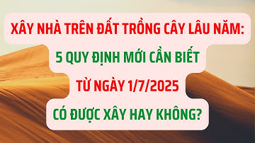 Xây Nhà Trên Đất Trồng Cây Lâu Năm: 5 Quy Định Mới Cần Biết Từ Ngày 1/7/2025 - Luật Đất Đai 2025