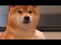 緊急で病院に行ってきた。