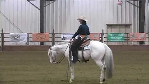 Ima Docs High Sign - NRHA 4 year old derby, 2005 R...
