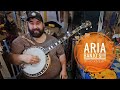 Aria 5 string banjo    who knew
