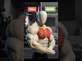 Best chest workout in home and gym #workout