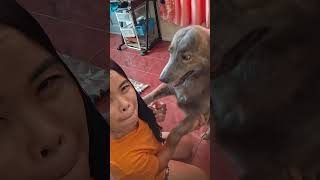 Gusto niya pag nakalat@g na ng higaan dapat andun na ako sa higaan
