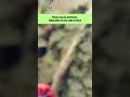 Pożar lasu na Roztoczu. Śmigłowiec Black Hawk w akcji #shorts