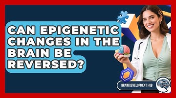 Can Epigenetic Changes In The Brain Be Reversed? - Brain Development Hub