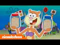 SpongeBob Schwammkopf | Sandys Eicheldrama | Nickelodeon Deutschland