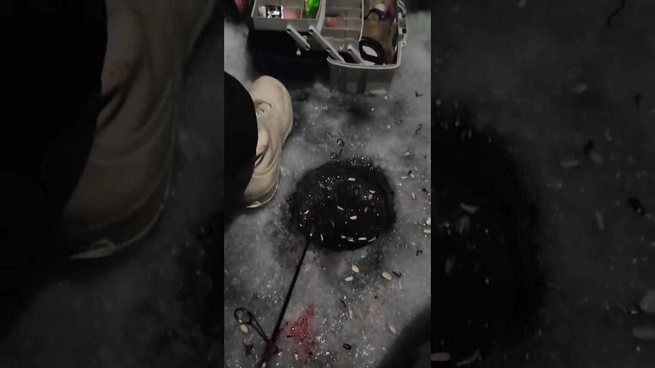 Failed Gummy Worm Challenge 