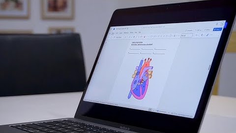 OLi AI Tutor - Traditional Education Product Demo