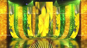 Visual Led Tết - Video Background Tết - Hoa Mai