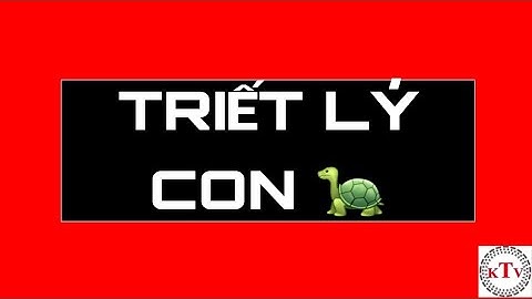 TRIẾT LÝ CON RÙA
