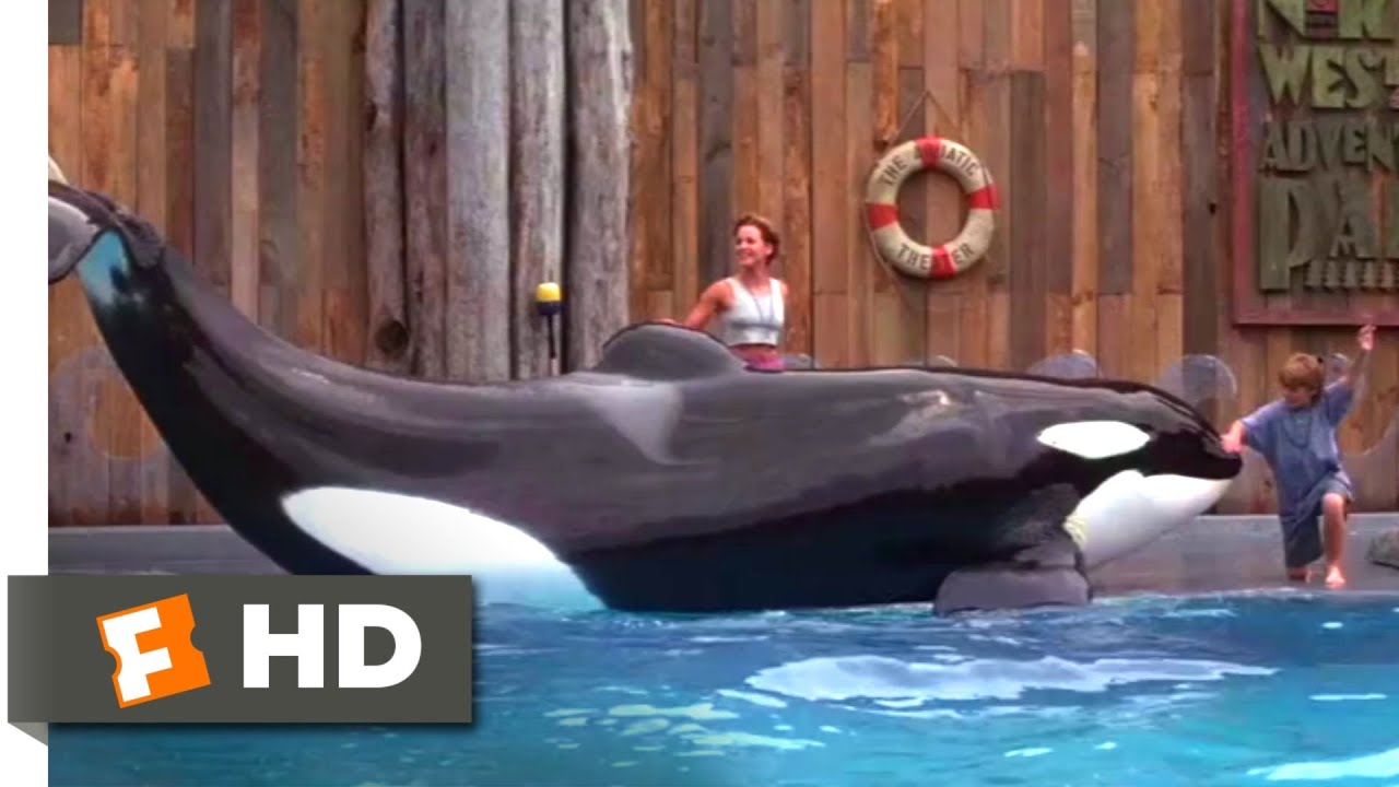 Free Willy (1993) Willy #39 s Performance Scene (6/10) Movieclips YouTube