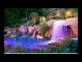 Decoración de jardines con piscina