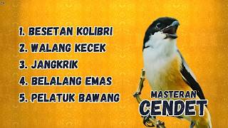 MASTERAN KASARAN CENDET TERBAIK GACOR MUDAH MASUK