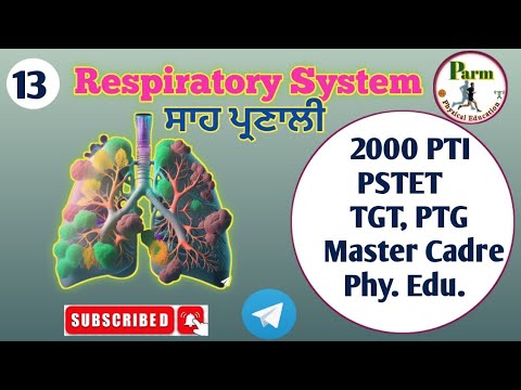 2000 PTI ||PSTET 2025|| Master Cadre|| Respiratory System (ਸਾਹ ਪ੍ਰਣਾਲੀ ) ||Physical education||HTET