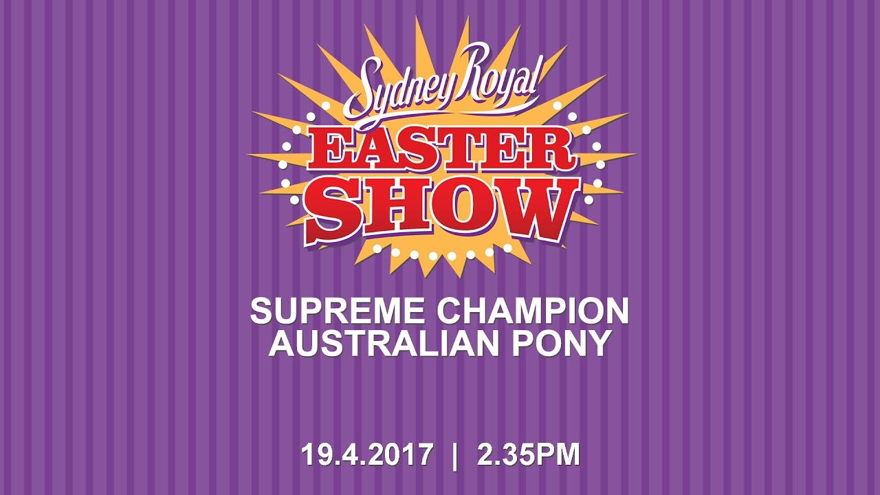 Supreme Champion Australian Pony