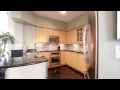 20 Collier Street HD Property Film