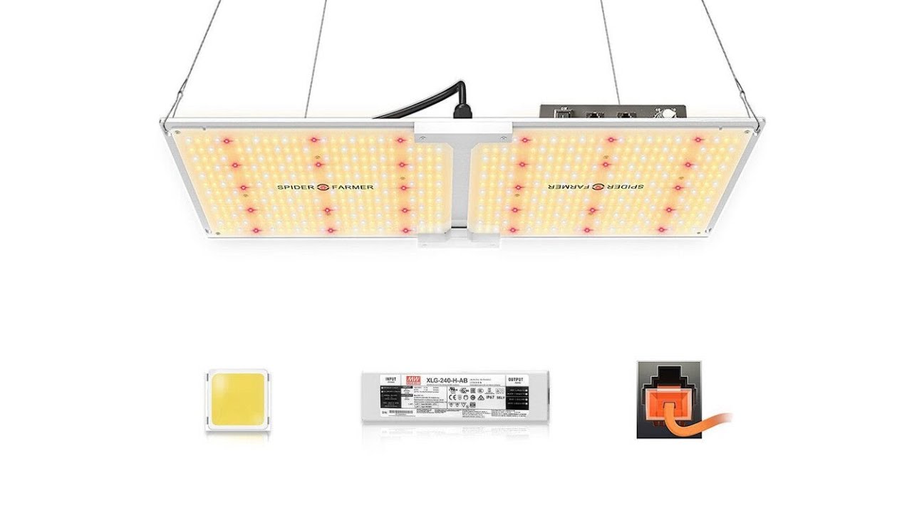 [Grow Journal#13]From seed to harvest under Spider Farmer SF2000