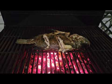 Drum Fish for dinner