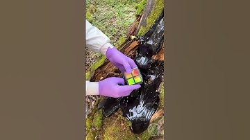 Who Left THIS Inside a Tree? 😱 WOWCUBE! 🎲