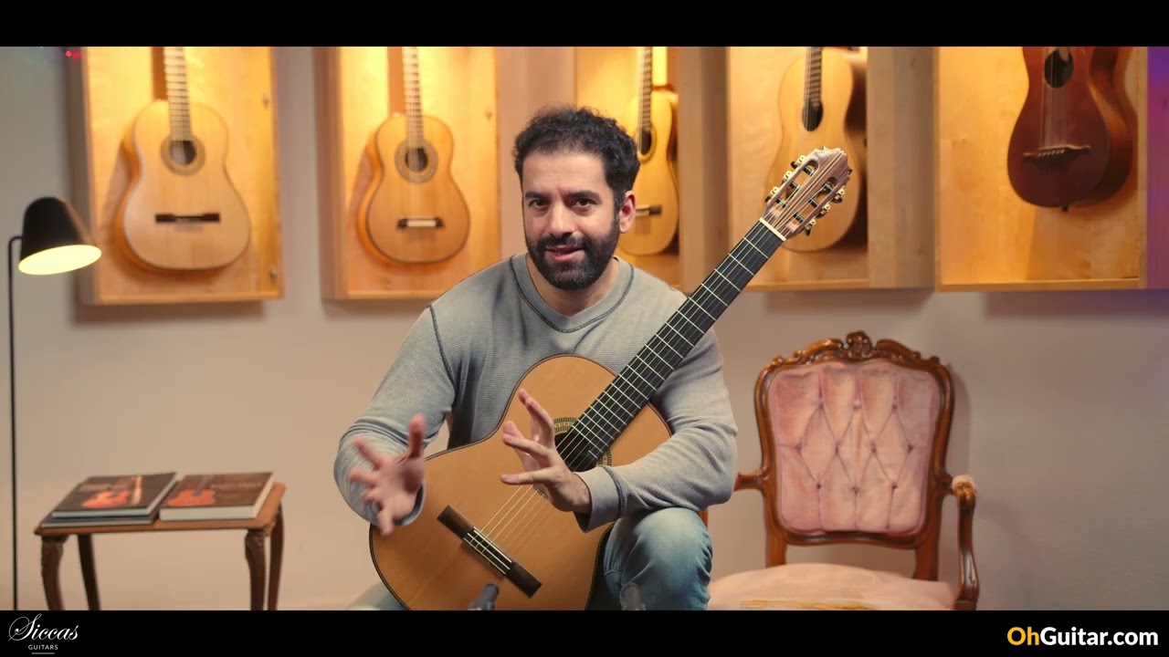 Steven Toon - 2024 - No. 118 DT - 64 cm – Siccas Guitars