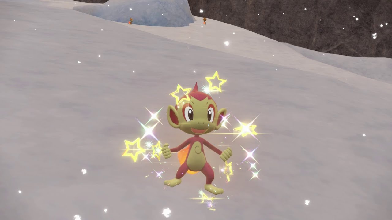 PEV : Ouisticram (Chimchar) Shiny 4