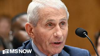 LIVE: Dr. Anthony Fauci testifies in front of the Senate