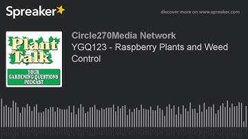 YGQ123 - Raspberry Plants and Weed Control