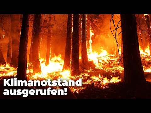 Planetarer Notfallzustand -