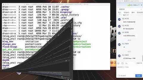 Python Django基础+实战：12.8 上线部署