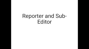 Reporter and Sub-Editor