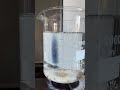 Close-up slow motion capture of water as it is heated