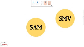 2  SMV SAM  CHECK record pannel visible