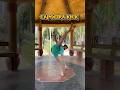 Capoeira Kick Technique Explained | SafeMartial Arts Training #capoeira #martialarts #shorts