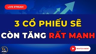 🔴 LIVE STREAM (SỐ ĐẶC BIỆT): 3 CỔ PHIẾU SẼ CÒN TĂNG RẤT MẠNH TRONG GIAI ĐOẠN TỚI !!