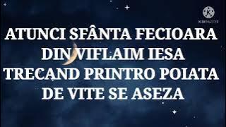 NEGATIV ALIN PARNO &OLIMPIA COLINDA ASEARĂ PE-NSERATE NOU 2021