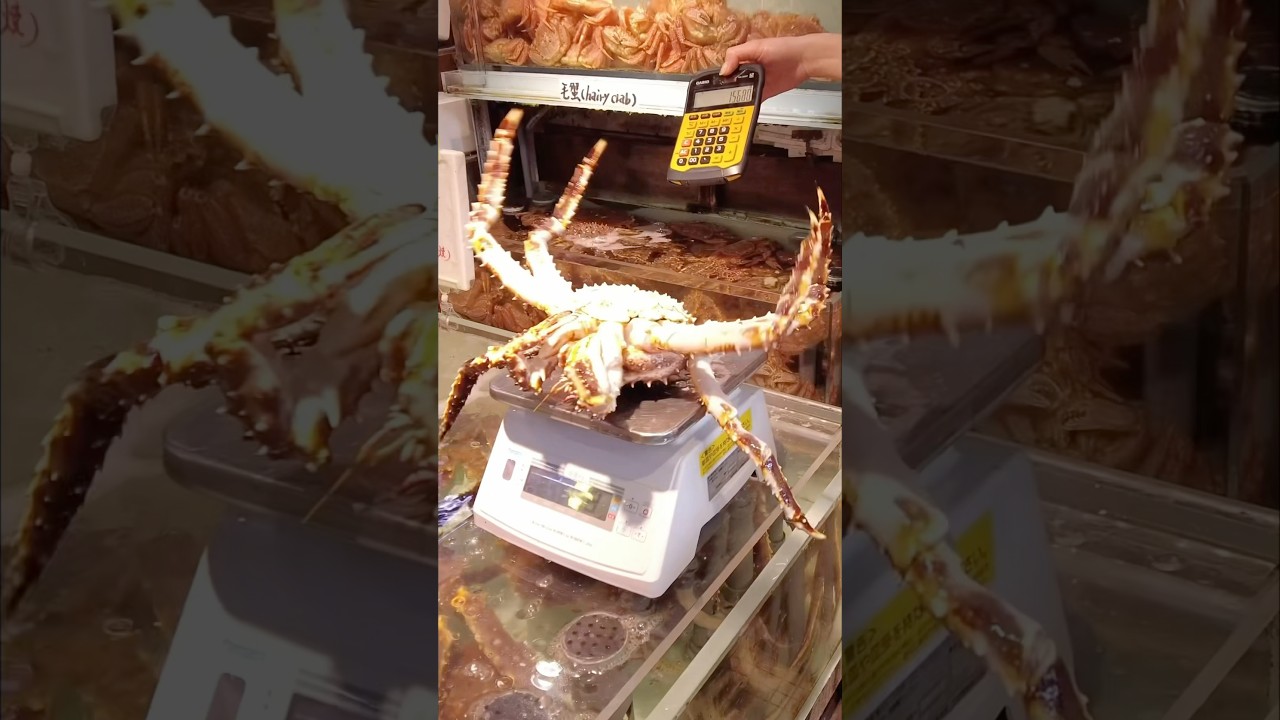 Crabs sell like hotcakes in Hakodate Japan! Don't order until you watch this! Close to cruise port!
