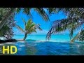 Relaxing Beach - Pan Flute Music and  Nature