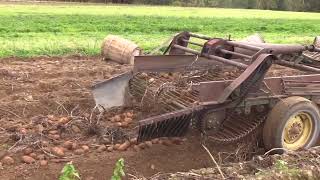 VI103 Farming:  Picking Potatoes by Hand