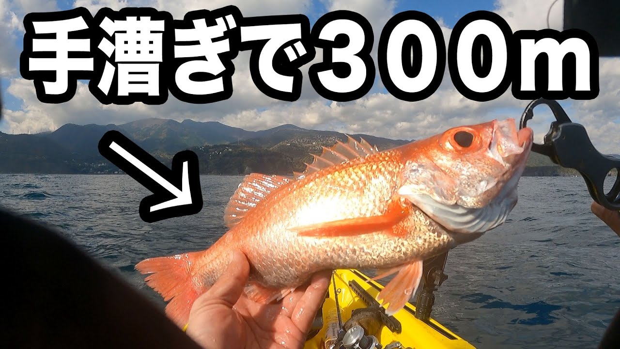 手漕ぎで水深300m 超！ついに出た、幻のアカムツにサメ他爆釣